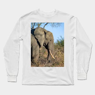 African Elephant Profile, Golden Hour Long Sleeve T-Shirt